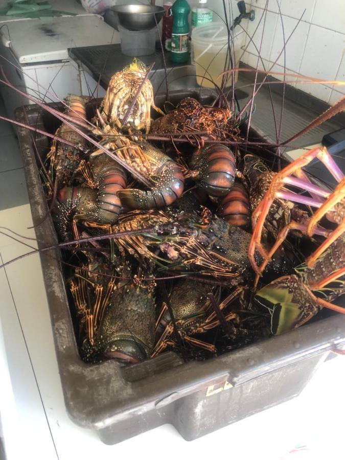 Paraiso Dos Corais 과라주바 외부 사진